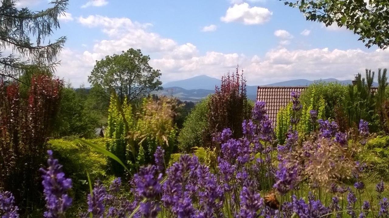 Villa Gorczanska Rabka-Zdrój Esterno foto